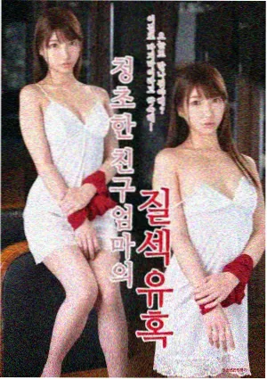 铁盒里的夏天TV合集版封面